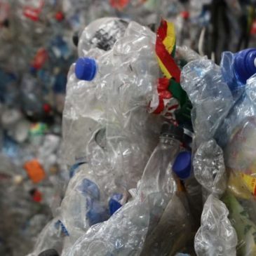 China Bans Importing Waste